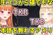 Vtuber 桐生ココの魂（kson）のツイートにいいねしてたWatson Amelia、いいね取り消しされてるじゃん、ホロ運営の指示か？