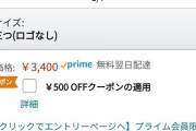 【乞食速報】Amazonで2000円の皿が2個買って100円