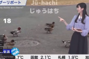 日本の天気予報ニュース、映像が微笑ましすぎると海外で話題に
