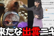 【檜山沙耶】視聴者の期待を裏切らない出雲ニキの投稿にリポートじゃなくても秒で反応するお天気お姉さん