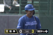 【vs阪神 練習試合】日ハム、初回に押し出しと今川の2点タイムリーで3点先制！
