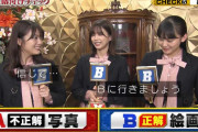 普通芸能人の櫻坂46、全問正解の大活躍！【芸能人格付けチェック】
