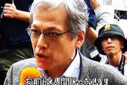 元朝日記者「日本人大衆の大半は倫理や知性を喪失した、ニンゲンの形をした何か別の動物にすぎません」