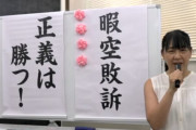 暇空茜氏また敗訴！人権団体のりこえねっとなどに合計110万円の支払命令　裁判でボコボコにされてしまう