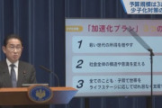 岸田首相､異次元の少子化対策の中身を発表 財源については｢増税はしない｡実質的に追加負担もなし｣ なお社会保険料に上乗せして徴収する方向