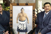 琴ノ若は母父が横綱だし期待できるよな