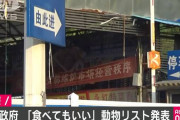 中国政府「食べても良い」動物リスト発表へ