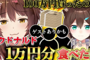 【にじさんじ】フミ様と野良猫で1万円分のマクドナルド食べる！野良猫、この企画の前にマクドを食べてしまう
