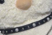 れんかちゃんが楽しそうでなにより
