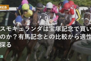 コスモキュランダは宝塚記念で買いなのか？有馬記念との比較から適性を探る