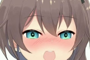 Vtuber 【夏色まつり】信者さん、SNSでプロデューサー面してしまうｗｗｗｗｗｗｗｗｗｗ
