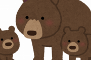 実際熊に出会ったらどうすればいいの？