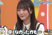 【日向坂46】ひなあい"三種の神器"がこちら