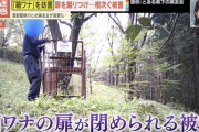 【悲報】熊擁護派「クソッ！これ以上クマを殺されてたまるか！！…せや！」