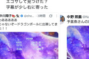 【画像】中川翔子さん(41)、ドラゴンボールの盗んだ画像でポストするｗｗ