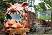 彡(^)(^)「ホントにホントにホントにホントにライオンだ～ｗ」
