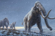 「マンモスはアフリカ象より小さい」という不都合な真実