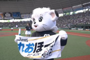 埼玉西武ライオンズ(1位)  31勝20敗2分 勝率.608