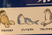 【悲報】野獣先輩、ウミガメだった