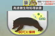 捕獲されたクマ、微生物の力で処理される