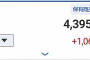 株式投資初めて2年ワイの運用成績