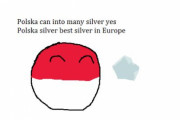 【ヨーロッパ】ポーランドの銀【ポーランドボール】