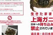 【終了】人気Youtuberきまぐれクックさん、炎上。上海蟹を生きたまま捌く動画を投稿　※特定外来生物の無許可取り扱いは違法  ★２