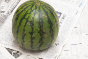 【何故】１個１万円、食べられないのに人気の「四角スイカ」ｗｗｗｗｗｗｗｗｗｗｗｗｗｗｗｗ