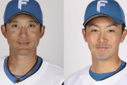 【公示】日ハムが杉谷と谷内を登録