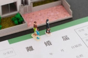 【離婚/親権】弟夫婦は嫁の浮気と家事放棄が原因で離婚したのに　弟が親権を取れなかったんだけど…