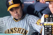 阪神岡田監督の戦う顔ｗｗ