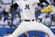 プロ野球に興味のない人でも知ってる現役のNPB野球wwwwwwwwww