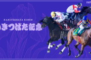 第28回 かきつばた記念(JpnIII)