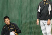 阪神、ブルペン陣に危機？　能見＆岩崎、別メニュー調整