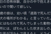 【悲報】まんさん「娘が猫に取り憑かれた！?」ちんさん「脳炎では？?」