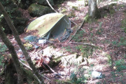 【画像】死体を探しに樹海に行ってきた