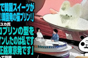 ネコプリン　自社商品が3年後NHKで「韓国発」に…日本人デザイナーが困惑、悲痛の投稿にネット波紋 [9/11]