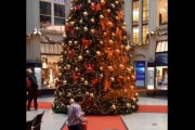 【速報】クリスマスツリーにオレンジのペンキをぶっかける　ドイツの環境活動家