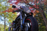 趣味がバイクってお前ら的にはありなの？
