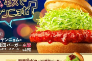 【ネトウヨ悲報】モスバーガー、「辛旨ヤンニョムのとり竜田バーガー」発売  [718678614]