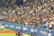 【緊急】神宮の中日ファン、ブチ切れｗｗｗｗｗｗｗｗｗｗｗｗｗｗｗｗｗｗ