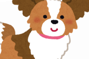 「犬がぶつかってきただけ」…他人の飼い犬(パピヨン)を蹴り殺した疑いでランニング中だった男(47)逮捕