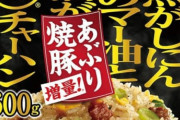 冷凍チャーハン500gを袋から出した時の「え、たったこれだけ？」感は異常