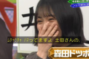 渾身のほのす！土田晃之さん、欅坂46メンバー達を大爆笑させる【欅って、書けない？】