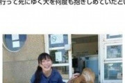 【悲報】700匹の犬を殺処分した美人さん、動物保護団体に叩かれて自ら命を絶つ（画像あり）