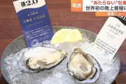 【グルメ】“食あたりしない”牡蠣　世界初「完全陸上養殖」で実現　世界展開も視野