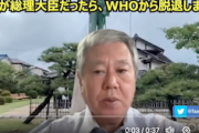 【陰謀論】立憲民主党議員「私が総理大臣だったらWHOから脱退してWCHに。製薬会社やDSに乗っ取られたのか分からないが…」（動画）