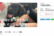 愛犬死んだのに闘病中に見せてクラウドファンディングで184万円集めた女を逮捕