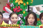 【予告動画公開】百田夏菜子も驚きの “花束” とは…!? 本日放送『レゴマスターズJAPAN』予告動画公開！