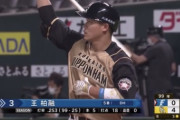 日ハム王柏融(27).250 5本 18打点 OPS.814